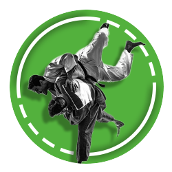 ورزش های رزمی